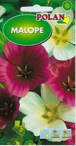 Malope mix 2g (Malope trifida)