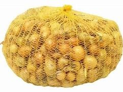 cebula dymka Stuttgrater Riesen.jpg