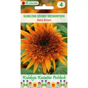 Słonecznik Astra Brown 1g 