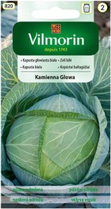 Kapusta Kamienna Głowa 2g nasion