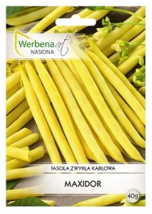 Fasola Maxidor 20g bezwłóknista, odporna na choroby
