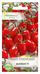 Pomidor Mandat F1 20 nasion (bardzo słodkie owoce)