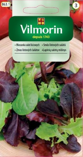 mieszanka sałat liściowych vilmorin