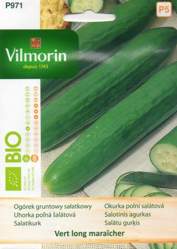 OGÓREK GRUNTOWY VERT LONG MARAICHER.jpg