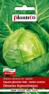 Kapusta biała Ditmarska Najwcześniejsza 2g
