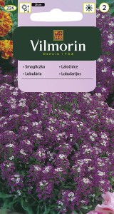 Smagliczka nadmorska Royal Carpet 2g (Lobularia maritima procumbens) nasiona 