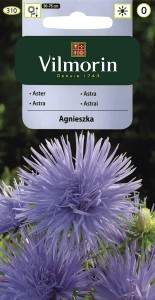 Aster chiński igiełkowy  Agnieszka 0,5g nasiona (Callistephus chinensis)    