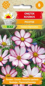 Onętek, Kosmos Picotee  0,5g ( Cosmos bipinnatus)
