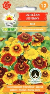 Dzielżan jesienny (Helenium autumnale) mix 0,1g nasion