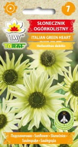 slonecznik-ogorkolistny-italian-green-heart_l.jpg