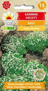karmnik-oscisty-bialy_l.jpg