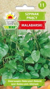 Szpinak Malabarski pnący 0,5g (Basella alba)