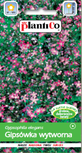 Gipsówka wytworna karminowa 1g (Gypsophila elegans)