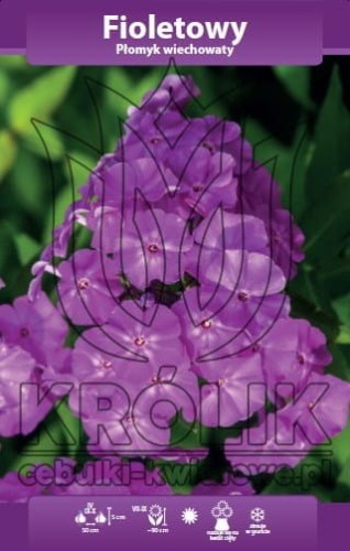 47456_46129.jpg