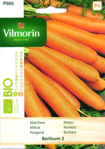 MARCHEW BERLICUM.jpg