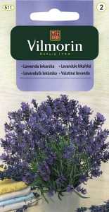 Lawenda lekarska 0,2g nasiona