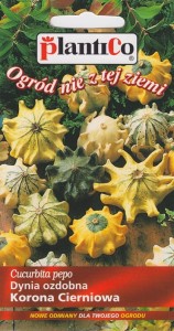 Dynia ozdobna Korona Cierniowa 1g (Cucurbita orientalis)