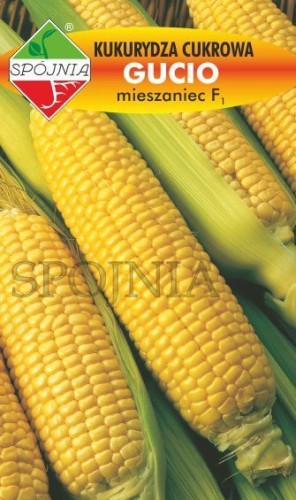 Kukurydza Gucio.jpg