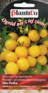 Pomidor gruntowy sztywnołodygowy Ola Polka 0,5g