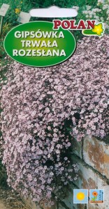 Gipsówka trwała rozesłana 1g (Gypsophila repens) 