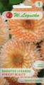 NAGIETEK LEKARSKI APRICOT BEAUTY.jpg