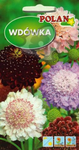 Wdówka mix 2g / driakiew (Scabiosa atropurpurea) nasiona