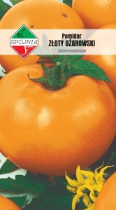 Pomidor Złoty Ożarowski 0,5g nasiona 
