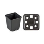 doniczka-kwadratowa-7x7x8-ex-100-sztuk-interplast-id0 (1).jpg