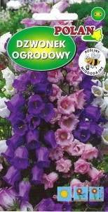 Dzwonek ogrodowy  1g ( Campanula medium) nasiona 