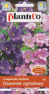 Dzwonek ogrodowy  0,3g ( Campanula medium) nasiona  