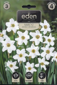 Narcyz wonny Recurvus 12/14 kapers 3szt     