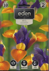 Irys holenderski Bronze Queen 7/8 kapers 10szt       