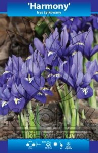 Irys żyłkowany "Harmony" 5/+ 1szt 