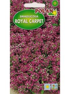 Smagliczka nadmorska Royal Carpet 1g (labularia martitima) nasiona