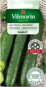 Ogórek szklarniowy Saladin F1 0,8g partenokarpiczny  HIT