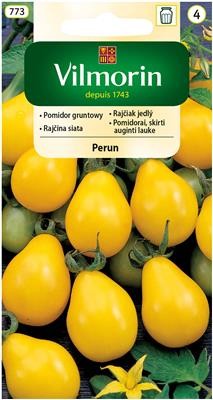 pomidor Perun koktajlowy gruszkowy żółty