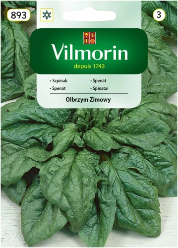 szpinak olbrzym zimowy 20g nasion