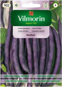 Fasola Amethyst 30g HIT nasiona