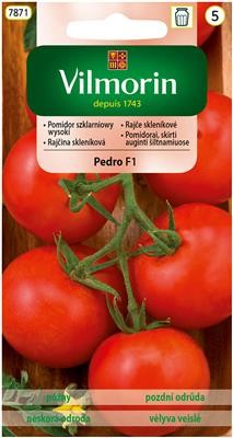 pomidor Pedro F1 szklarniowy Vilmorin
