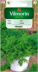 Koper Moravan 5g nasiona HIT -odrasta po przycięciu