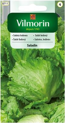 sałata lodowa saladin