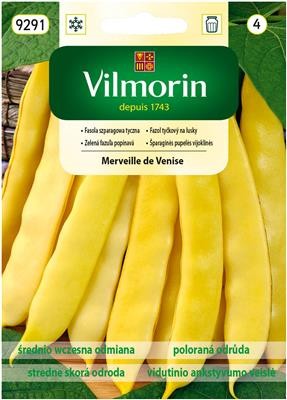 fasola Merveille de Venice tyczna żółta typ mamut