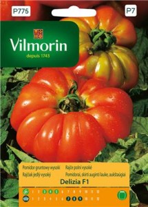Pomidor Delizia F1 0,1g nasiona (duży,bardzo wczesny)