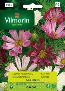 Kosmos niski muszelkowy Sea Shells (onętek) 0,2g   nasiona