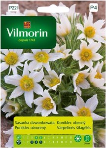 Sasanka dzwonkowata biała 0,1g  (Anemone pulsatilla) nasiona