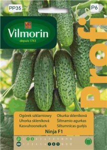 Ogórek szklarniowy Ninja F1 12 nasion   PROFI