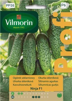 ogórek szklarniowy Ninja F1 Vilmorin Garden.jpg