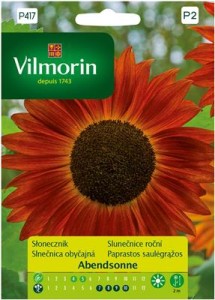 Słonecznik Abendsonne (Helianthus annuus) 0,5g nasion