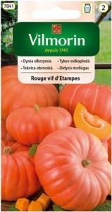 Dynia Rouge vif d'Etampes 3g 