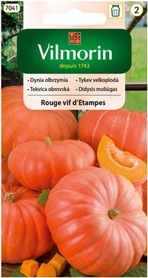 dynia Rouge vif d'Etampes